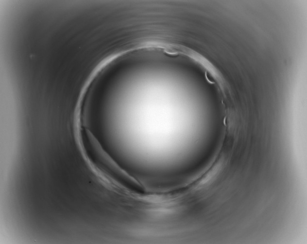 X0000099961048200805231337