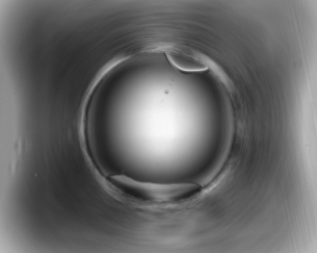 X0000099961050200805231337