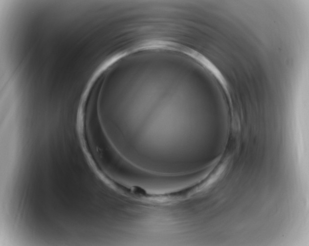 X0000099961053200805231337