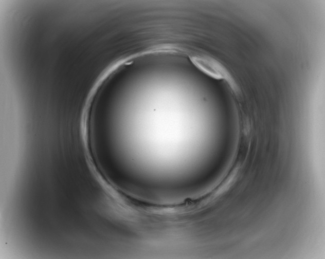 X0000099961054200805231337