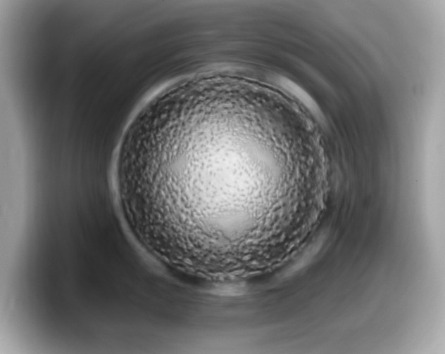 X0000099961055200805231337