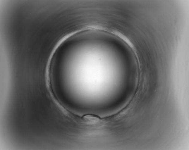X0000099961056200805231337