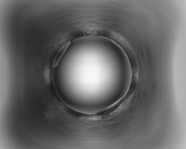 X0000099961060200805231337