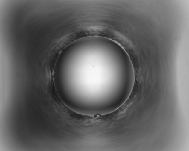 X0000099961061200805231337