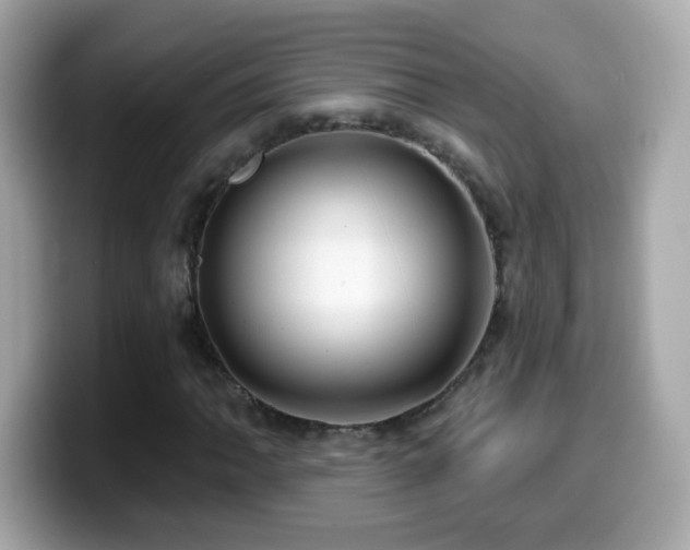 X0000099961062200805231337