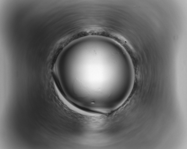 X0000099961063200805231337