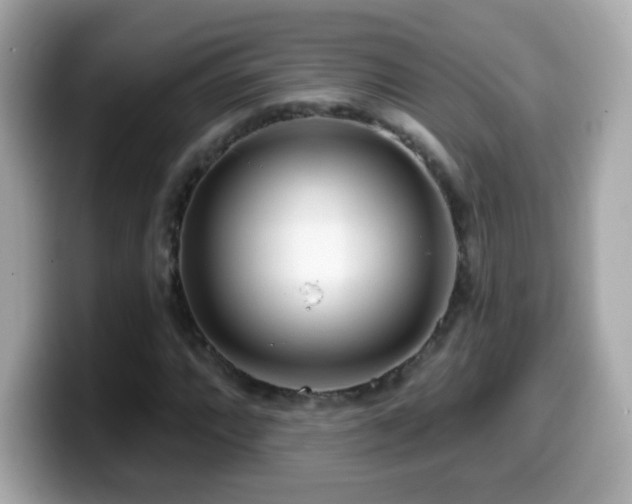 X0000099961064200805231337
