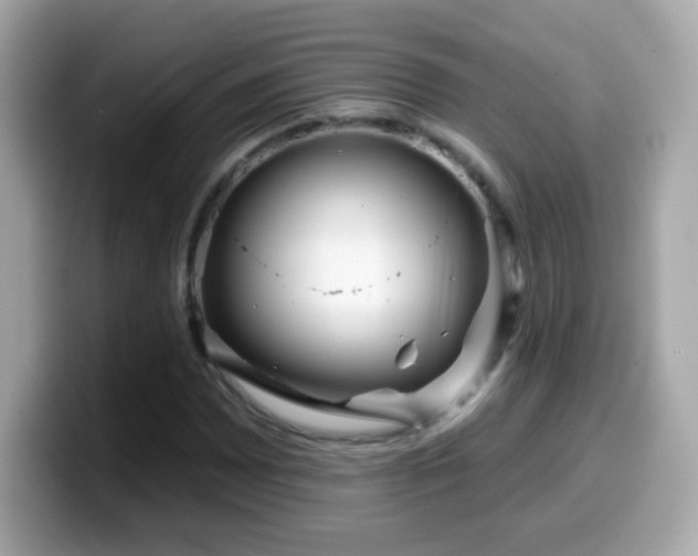 X0000099961065200805231337