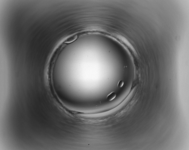 X0000099961068200805231337
