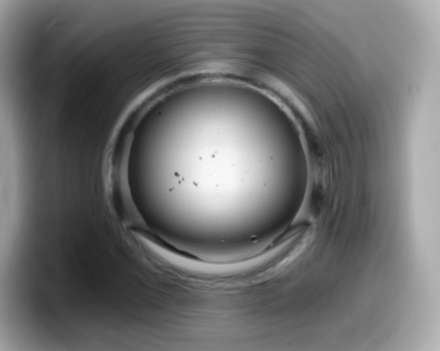 X0000099961069200805231337