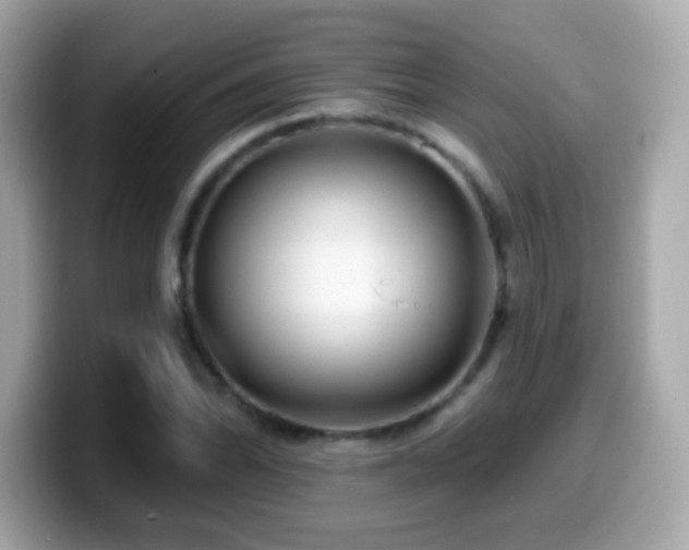X0000099961070200805231337