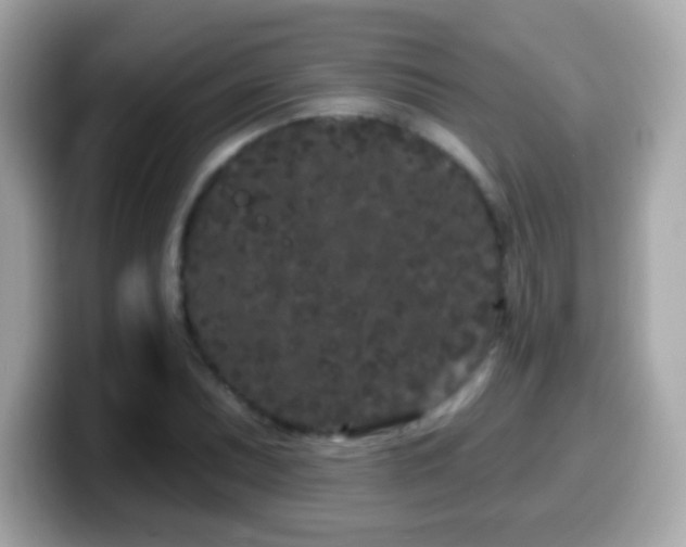 X0000099961071200805231337