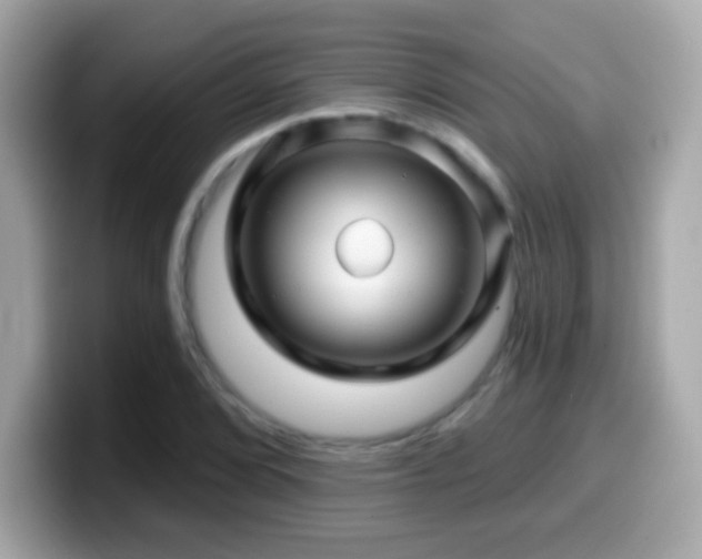 X0000099961072200805231337