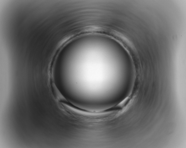 X0000099961073200805231337