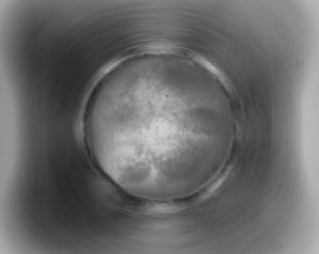 X0000099961074200805231337