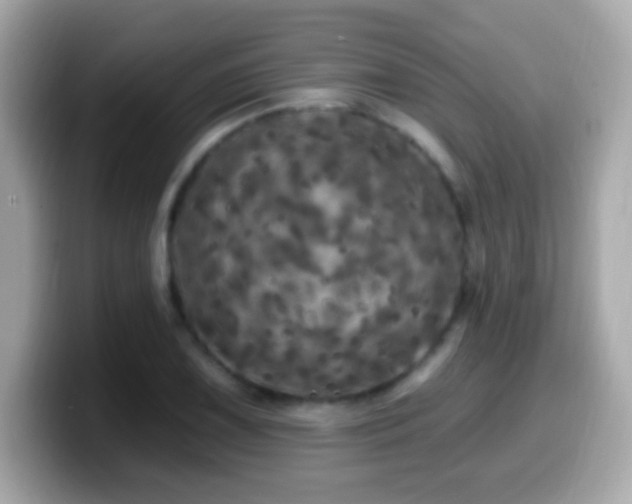 X0000099961075200805231337