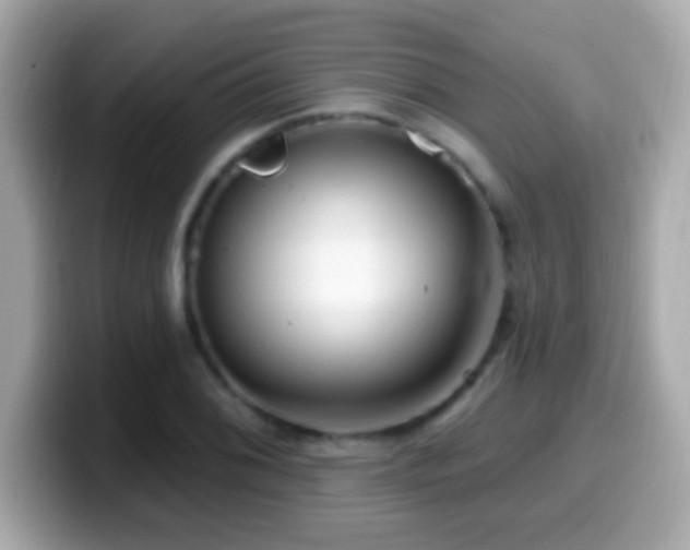 X0000099961076200805231337