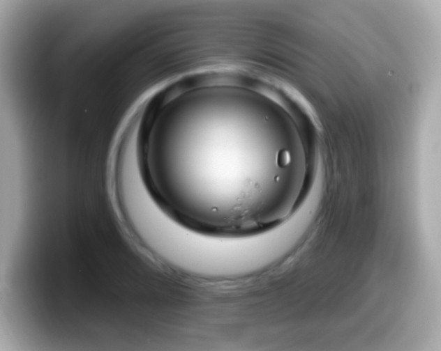 X0000099961080200805231336