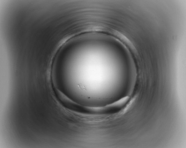 X0000099961081200805231336