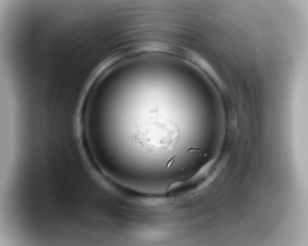 X0000099961082200805231336