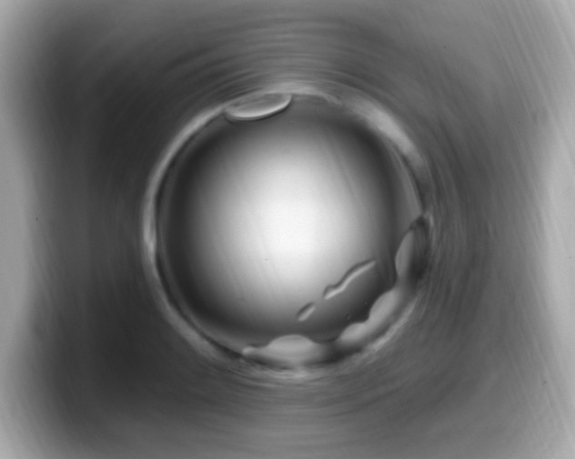 X0000099961084200805231336