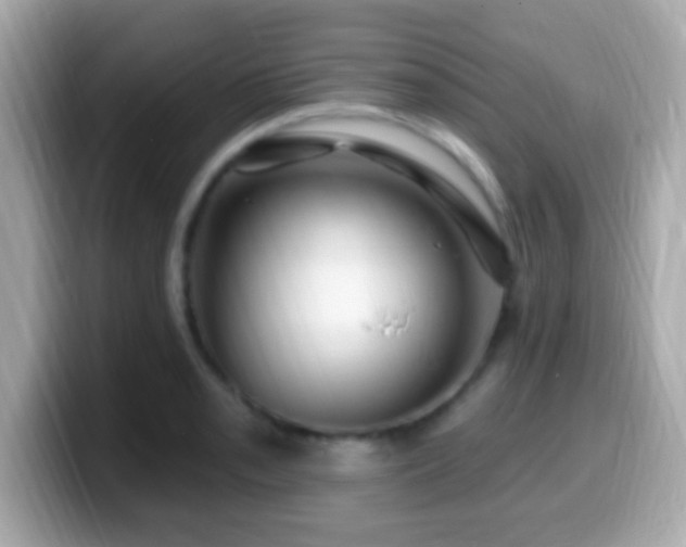 X0000099961085200805231336