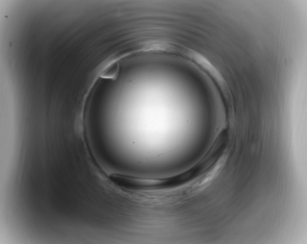 X0000099961089200805231336