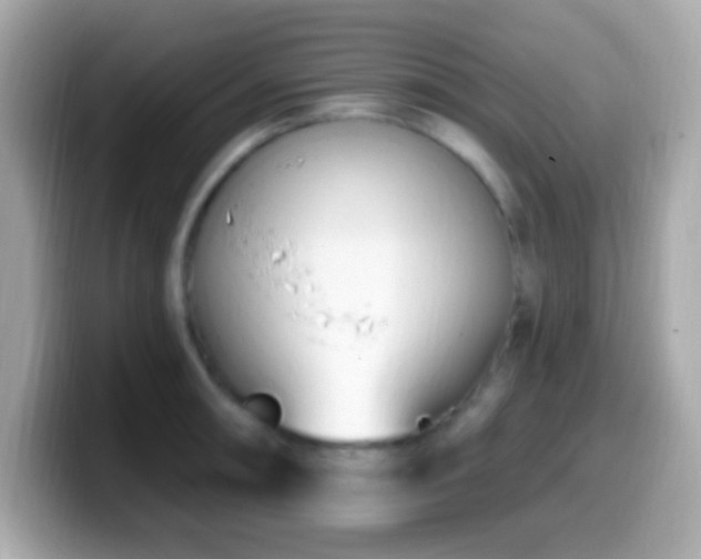 X0000099961090200805231336