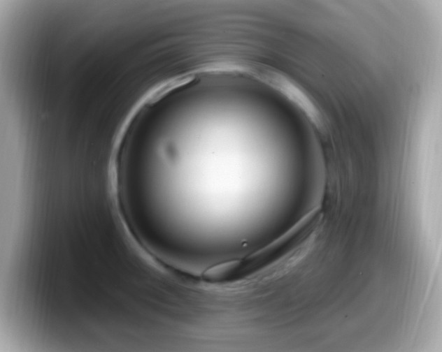 X0000099961092200805231336