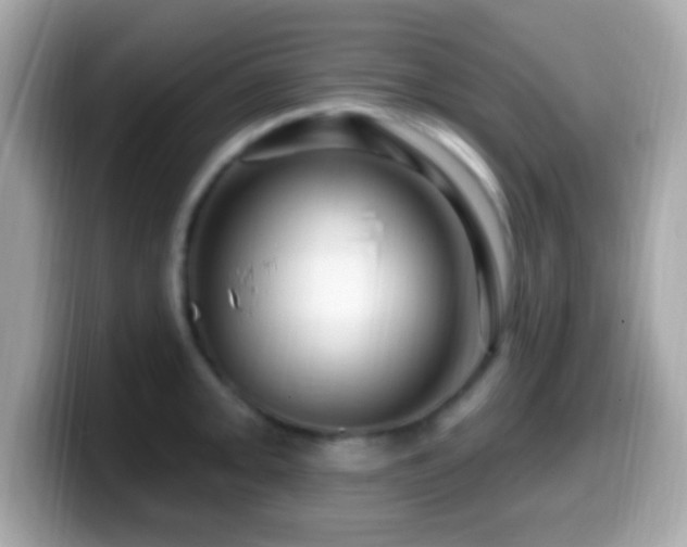 X0000099961093200805231336