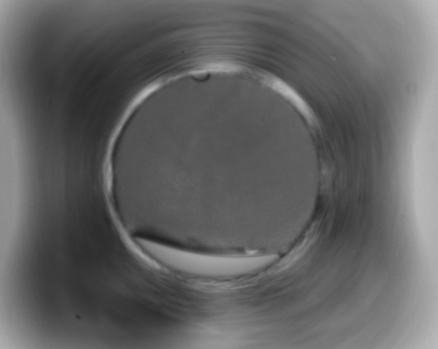 X0000099961095200805231336