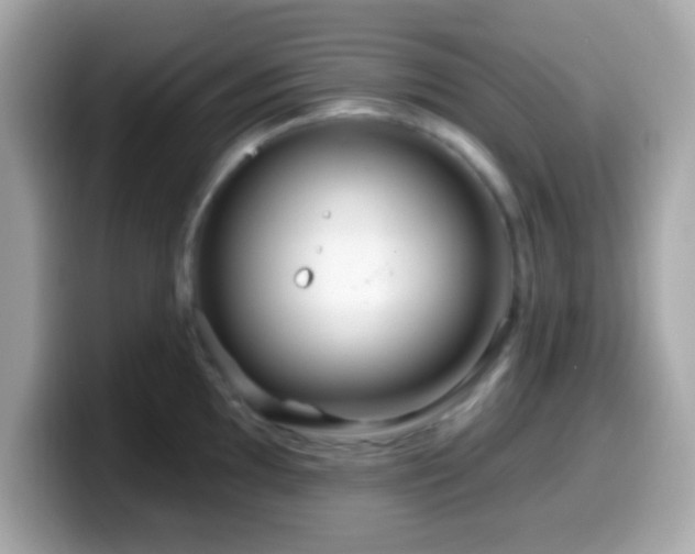 X0000099961097200805231336