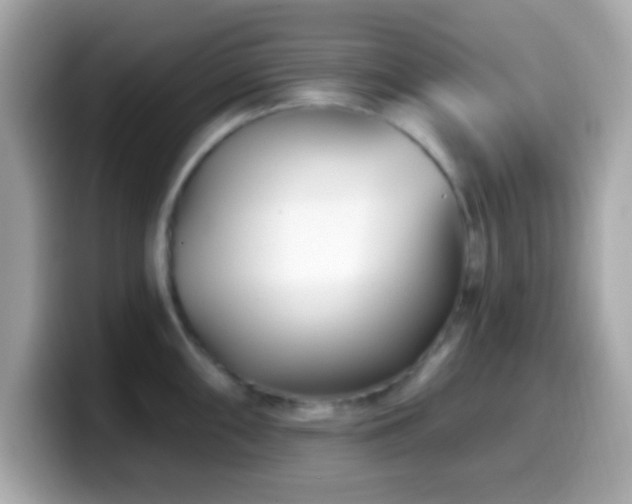 X0000099961098200805231336