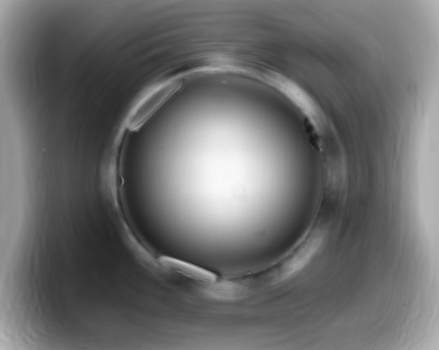 X0000099961100200805231336