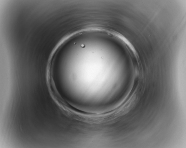 X0000099961101200805231336