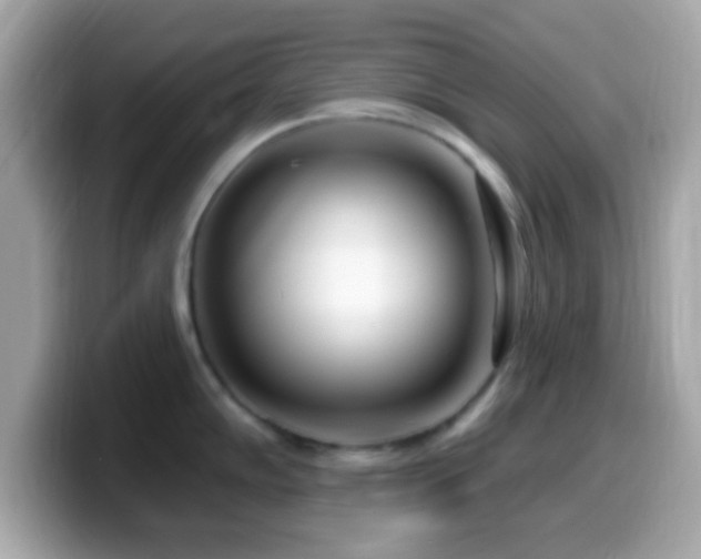 X0000099961102200805231336