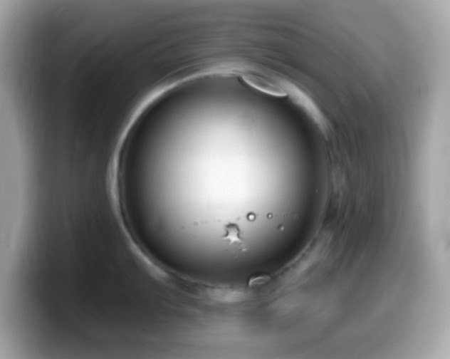 X0000099961103200805231336