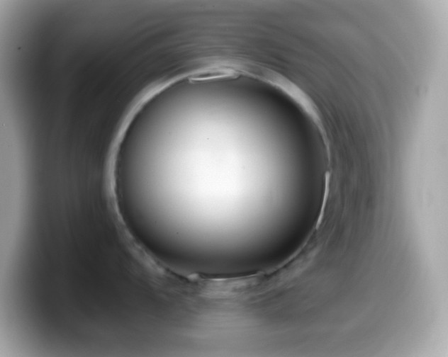 X0000099961104200805231336