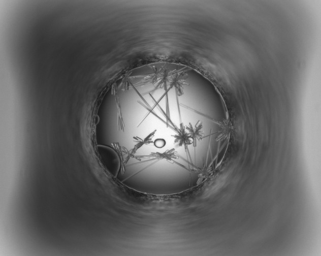 X0000099961105200805231336
