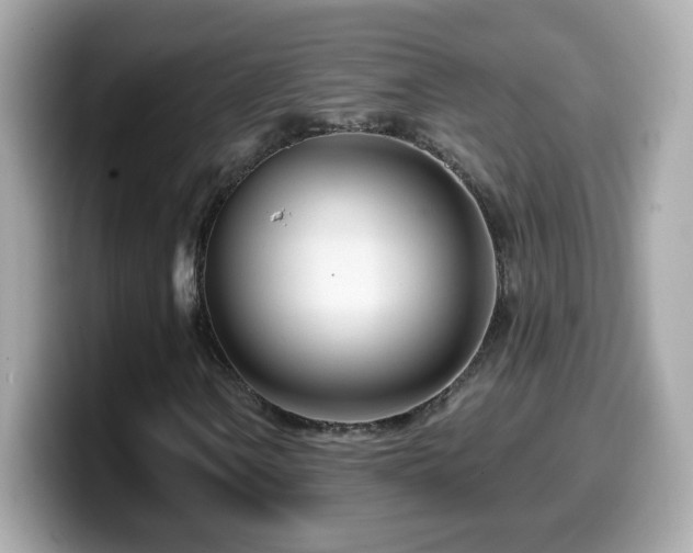 X0000099961106200805231336