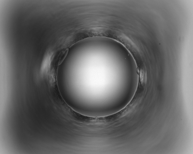 X0000099961107200805231336
