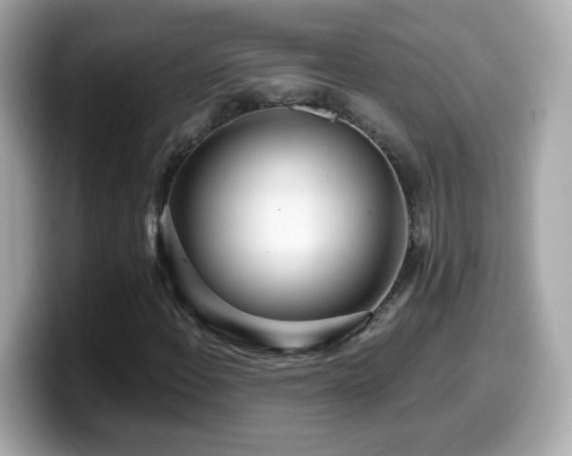 X0000099961108200805231336