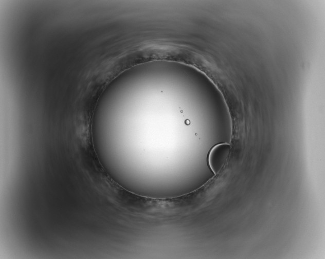 X0000099961109200805231336