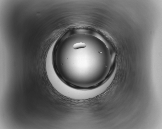 X0000099961110200805231336