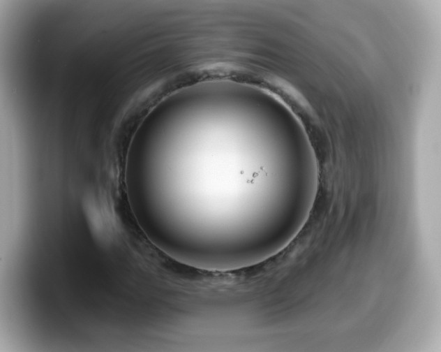 X0000099961111200805231336