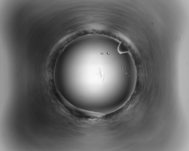 X0000099961112200805231336