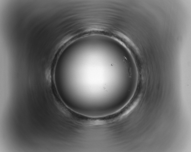 X0000099961113200805231336