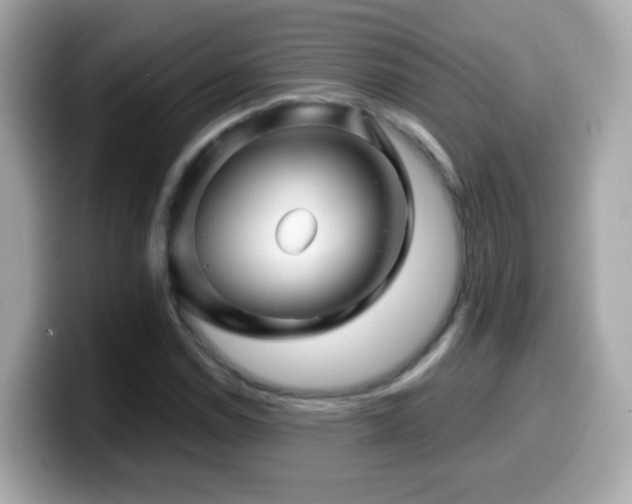 X0000099961114200805231336