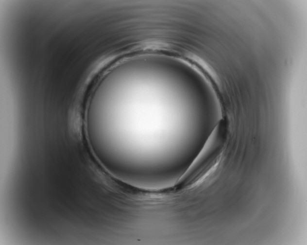 X0000099961115200805231336