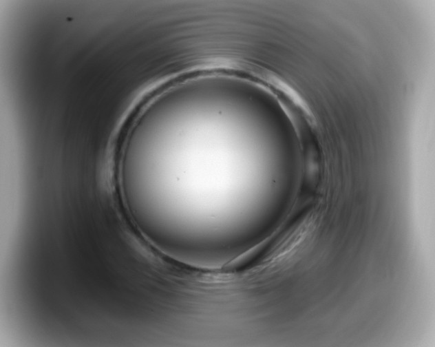 X0000099961116200805231336
